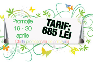 grafica design pentru print